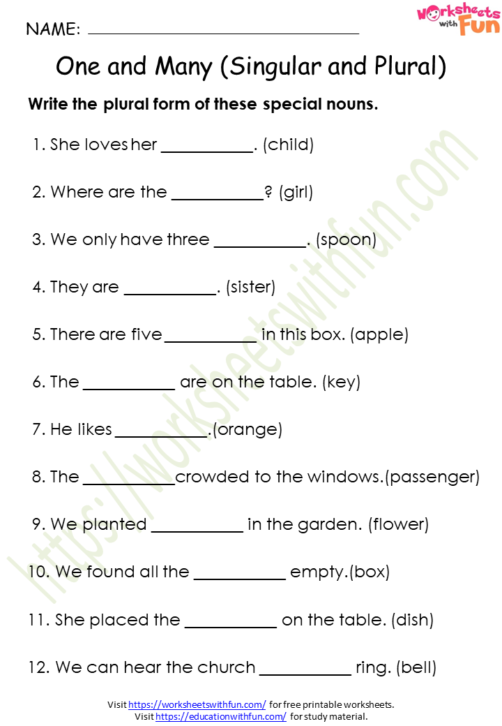 English - Class 1: One and Many (Singular and Plural) Worksheet 2 (Answer)