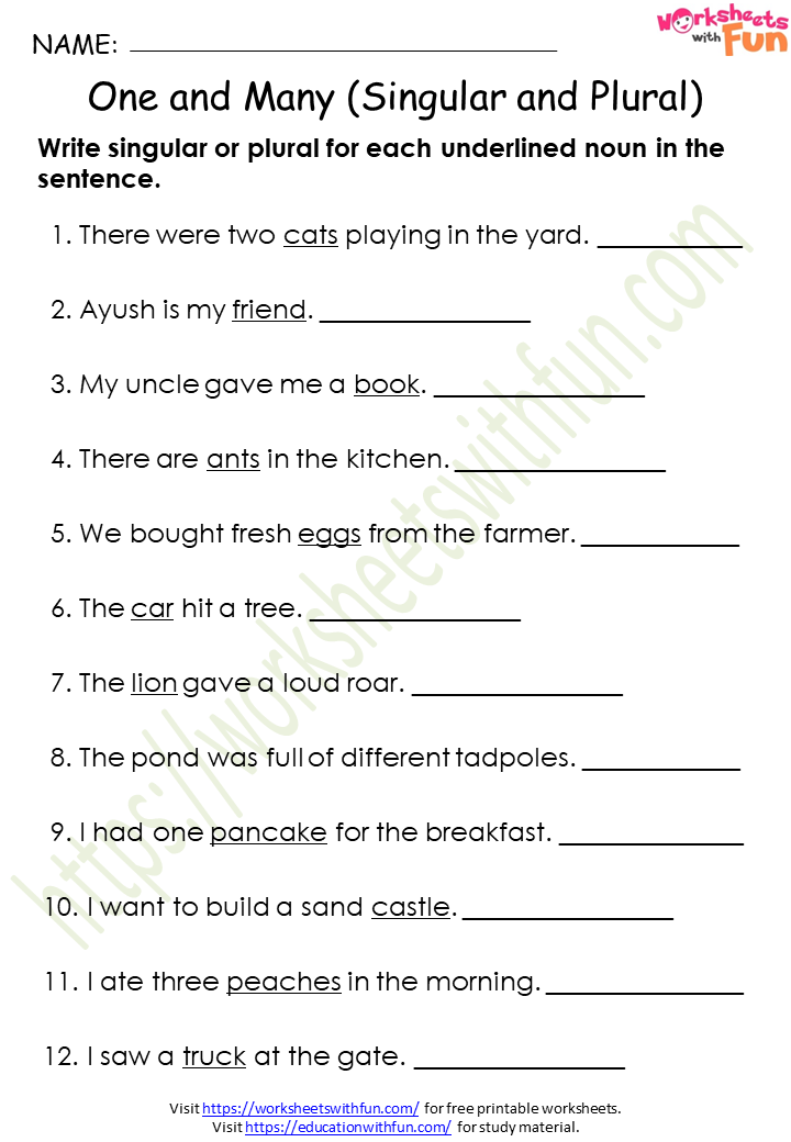 English - Class 1: One and Many (Singular and Plural) Worksheet 2 (Answer)