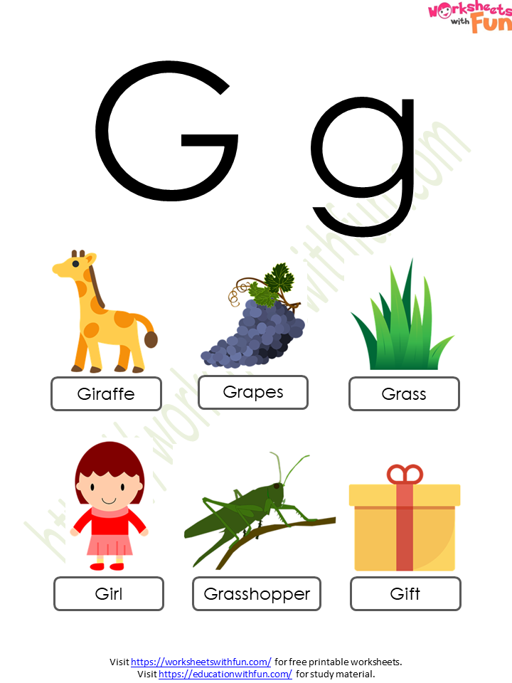 English - Preschool: Alphabet (Letter 'G') - Concept