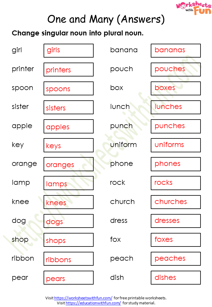 english class 1 one and many singular and plural worksheet 2 answer