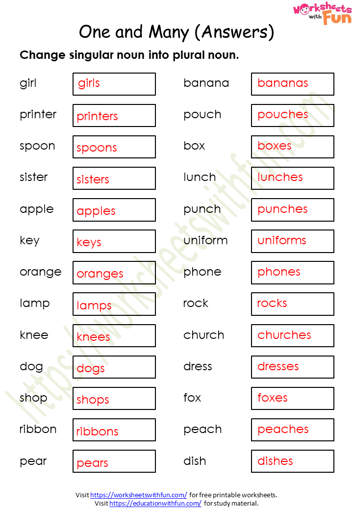 English - Class 1: One and Many (Singular and Plural) Worksheet 2 (Answer)