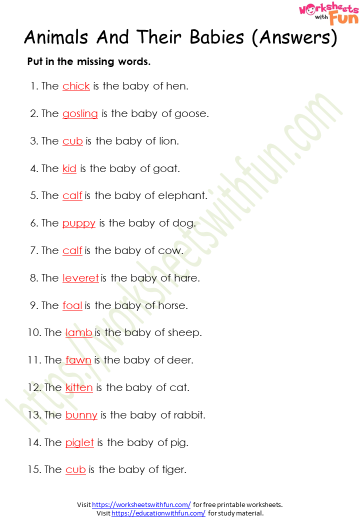English - Class 1: Animal and their Babies Worksheet 1 (Answers)