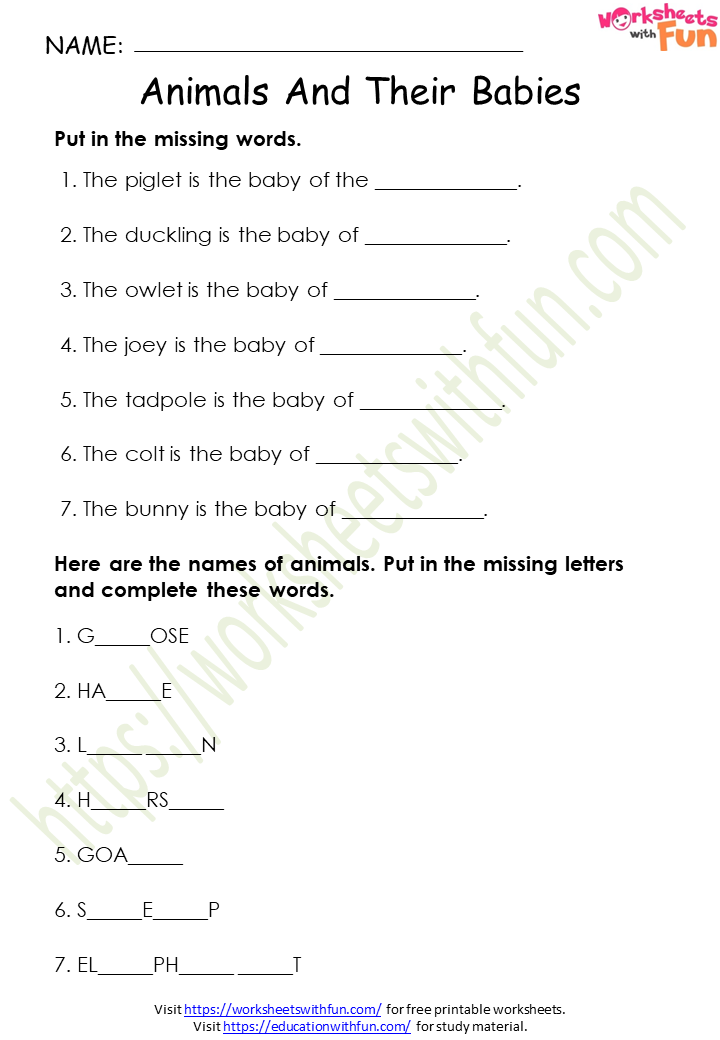 English - Class 1: Animal and their Babies Worksheet 2