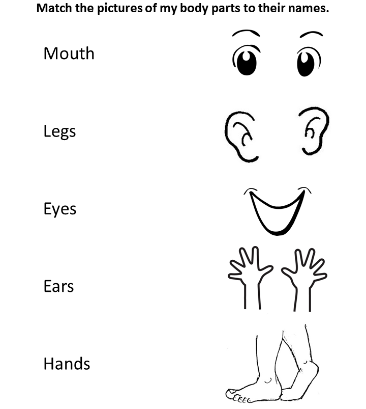 environmental science preschool body parts worksheet 2 match the pictures