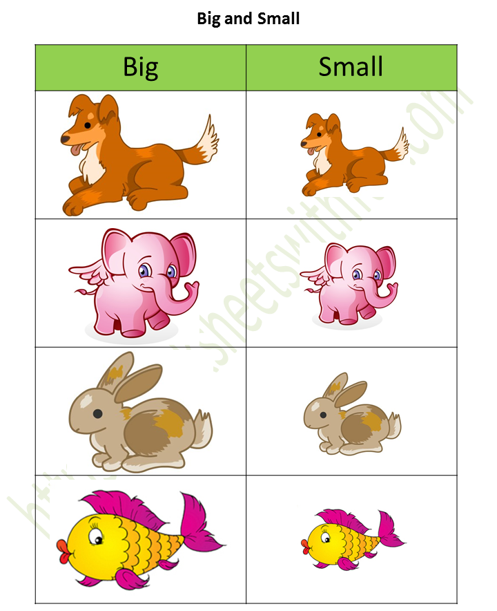 Environmental Science - Preschool: Big and Small Worksheet 8