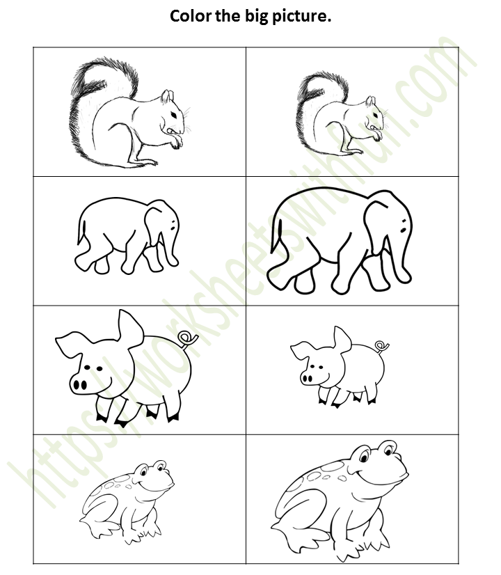 Environmental Science Preschool Big And Small Worksheet 1 Color The Big Picture