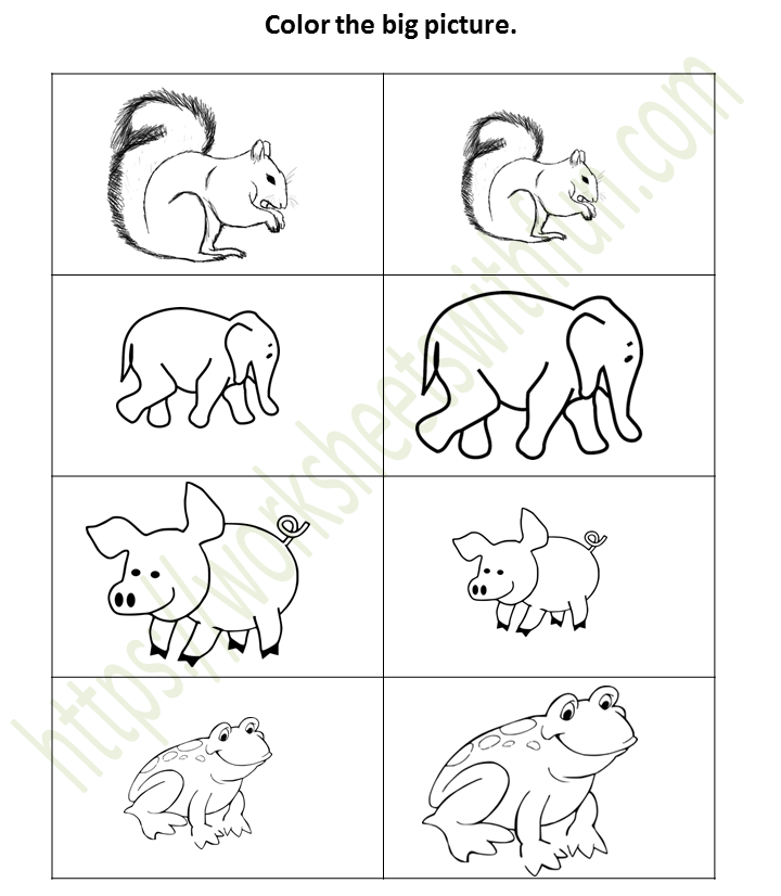 Big and Small Worksheet