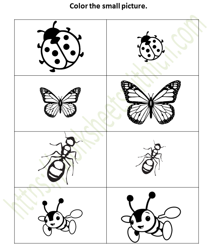 Environmental Science Preschool Big And Small Worksheet 2 Color The Small Picture