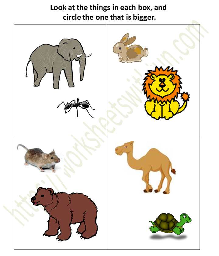 Big To Small Preschool Worksheets PDF