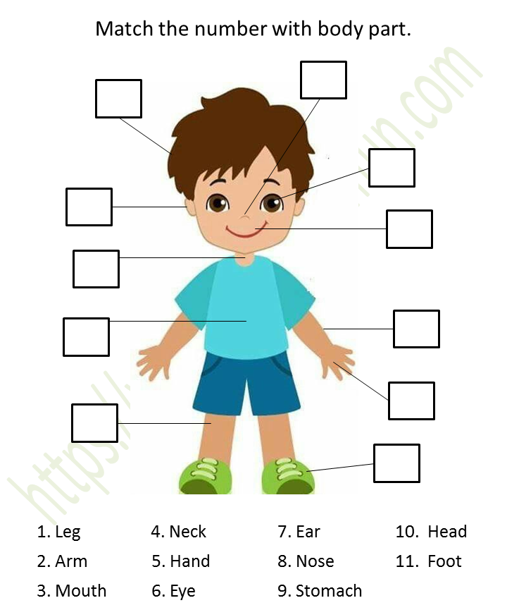 environmental science preschool matching body parts worksheet 2