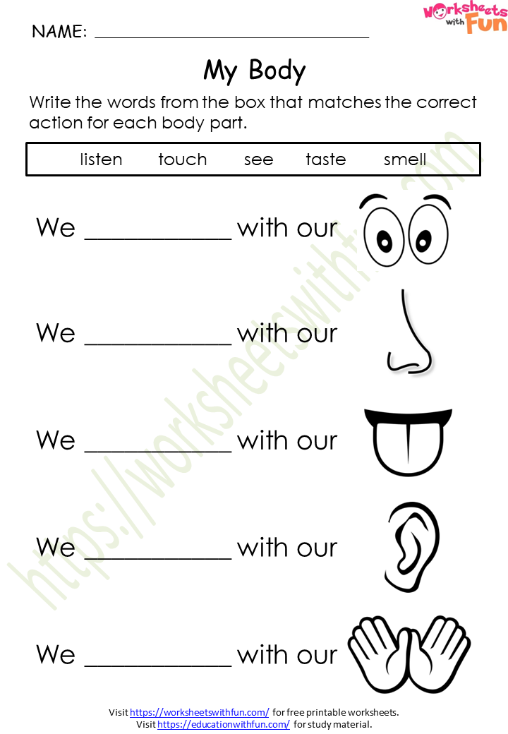 environmental science class 1 my body worksheet 1