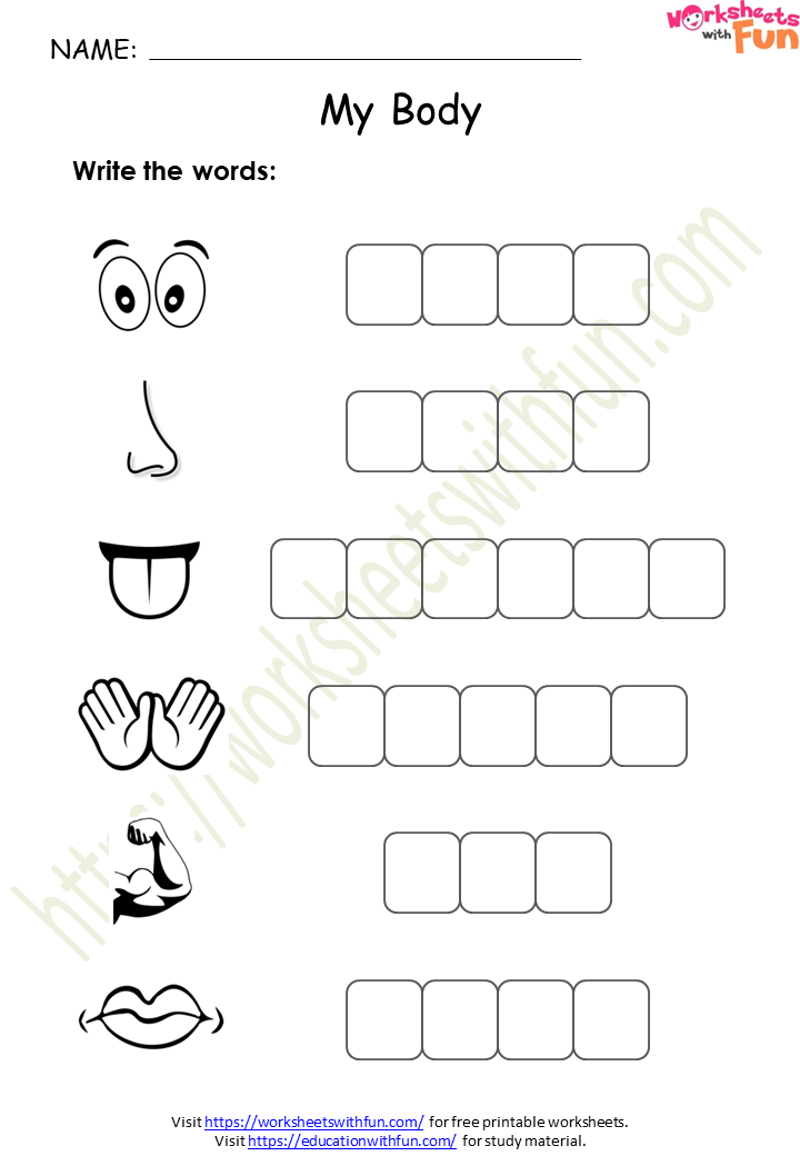 environmental science class 1 my body worksheet 5