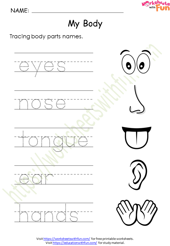 Class 1 EVS  My Body - Explanation 