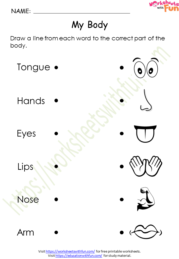 course environmental science class 1 topic my body worksheets