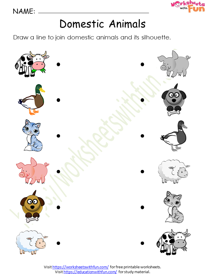 Environmental Science - Preschool: Domestic Animals Worksheet 1