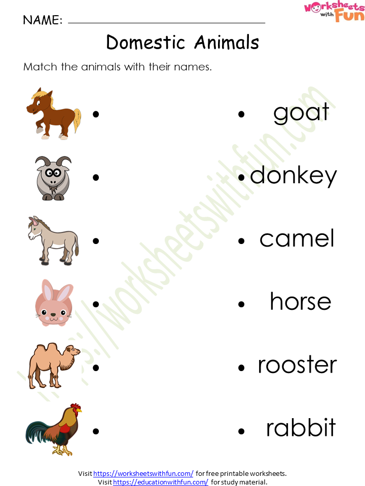 Environmental Science - Preschool: Domestic Animals Worksheet 4