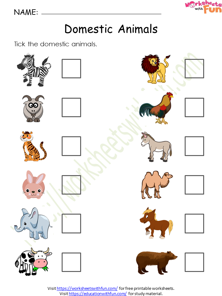 Environmental Science - Preschool: Domestic Animals Worksheet 9