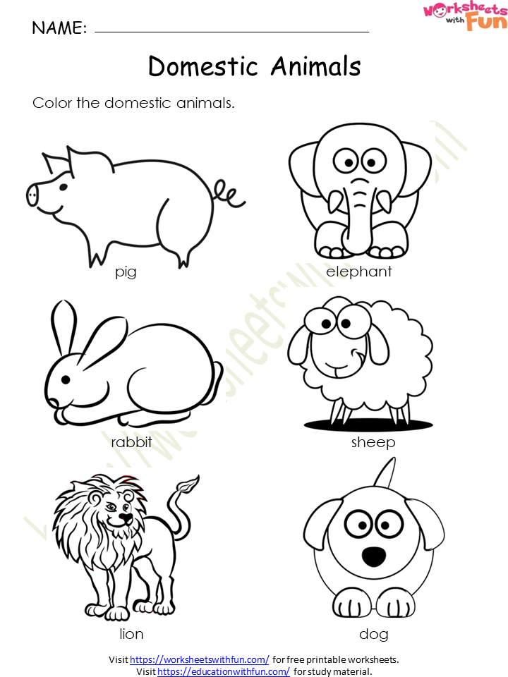 Environmental Science - Preschool: Domestic Animals Worksheet 10