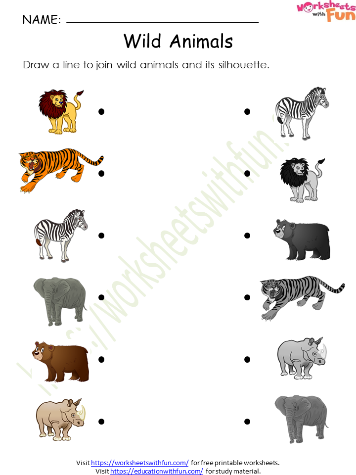Environmental Science - Preschool: Wild Animals Worksheet 1