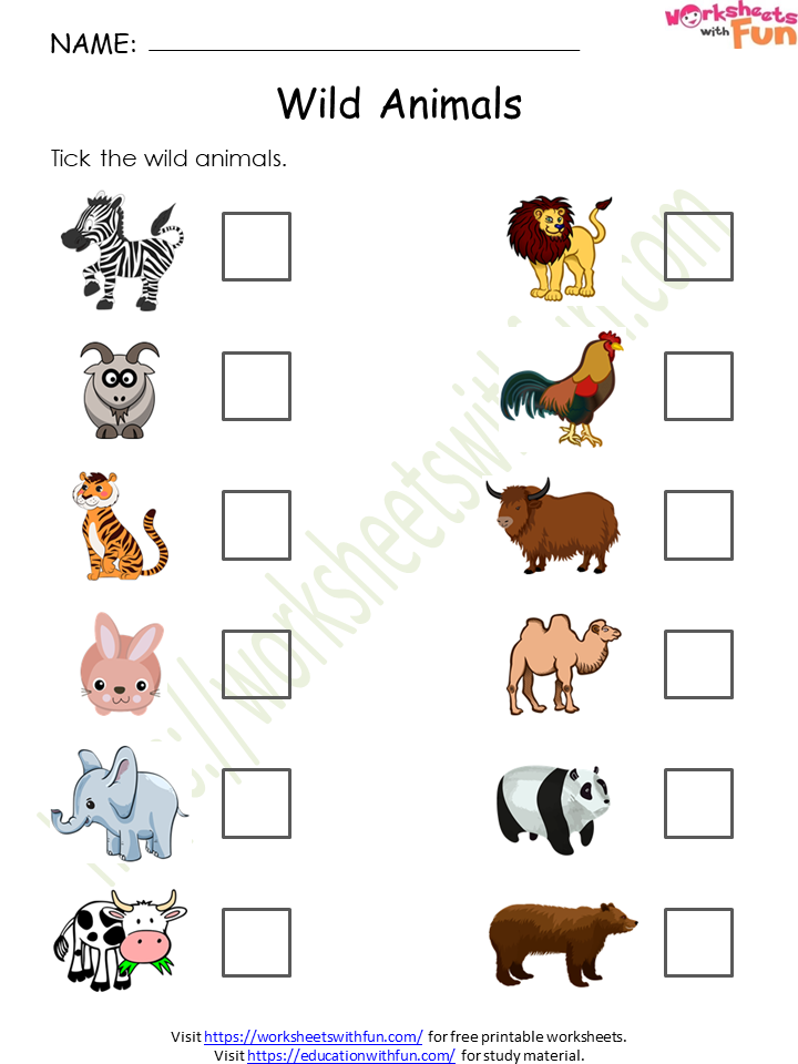 Environmental Science - Preschool: Wild Animals Worksheet 9