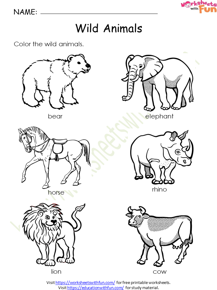 Environmental Science - Preschool: Wild Animals Worksheet 10